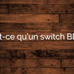 Qu’est-ce qu’un switch BDSM ?